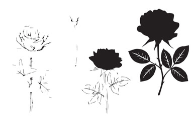 Naklejka premium A monochrome illustration featuring delicate line art and a bold silhouette of a rose, showcasing natural beauty and artistic simplicity