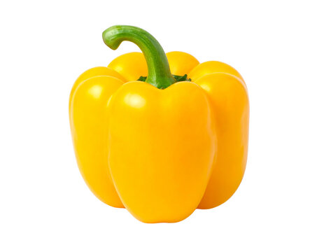A bright yellow bell pepper on transparent background