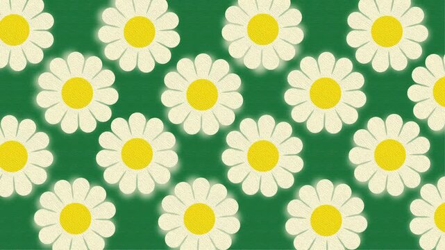 4K video collection big pattern of floral yellow daisy Chamomile flower popped looping and rotate motion graphic on green background, seamless background with flowers, repeated geometric motif video