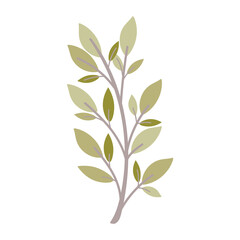 Green Leaf Botanical PNG Illustration