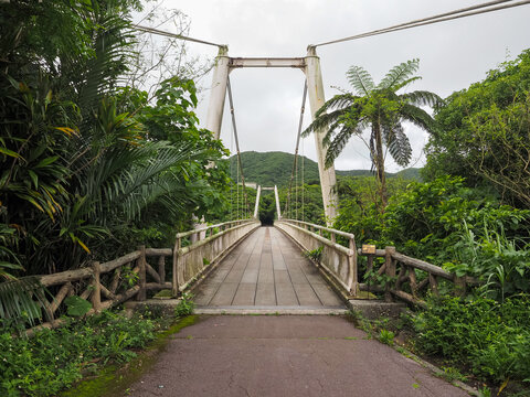 Bridge in the Park