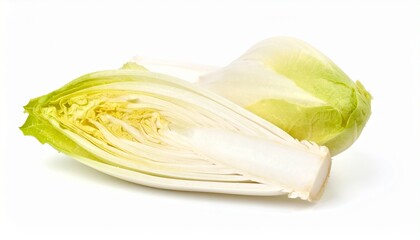 Chicor&eacute;e isoliert