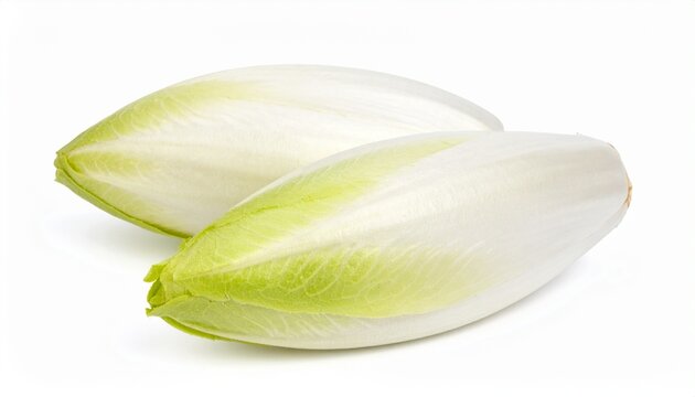 Chicor&eacute;e isoliert