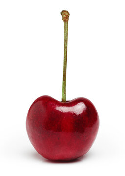 Fresh ripened Cherry,Cherries isolated on white background