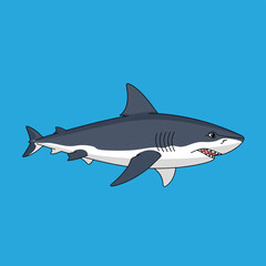 Obraz premium Cartoon Shark