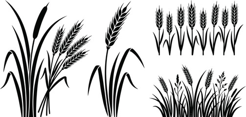 Grass with Wheat Field Icon Silhouette Vector Set &ndash; Agricultural Plant Illustration