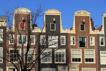 Prinsengracht Canal House Facades with Neck Gables, Bare Branches and Blue Sky in Amsterdam,...