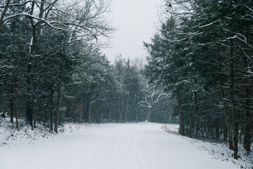 Snow in the Ozark Mountains Missouri