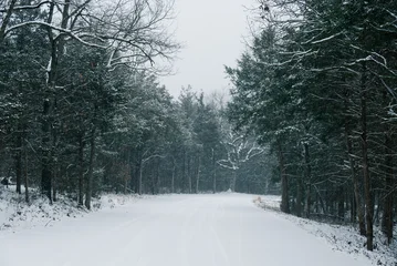 Snow in the Ozark Mountains Missouri © Matt
