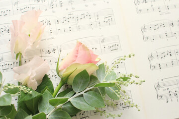 rose and music