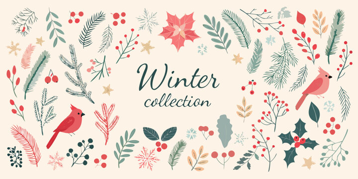 Festive winter botanical illustrations with floral elements and charming cardinal birds