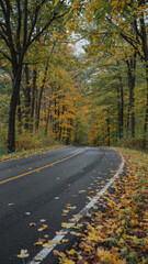 Naklejka premium Scenic Winding Asphalt Road Through Vibrant Autumn Forest with Yellow Leaves, Peaceful Fall Landscape for Travel and Transportation Marketing