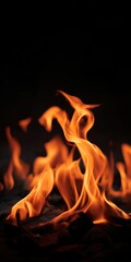 Vivid orange flames dancing against dark background