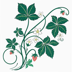 Illustration of strawberry plant with flowers and berries