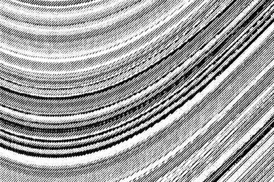 Macro of printed curved bands of fine black lines on transparent PNG, resembling planetary rings or folded fabric in bold monochrome.