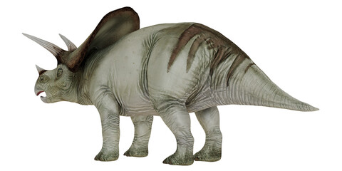 Fototapeta premium Side view of a Centrosaurus dinosaur illustration