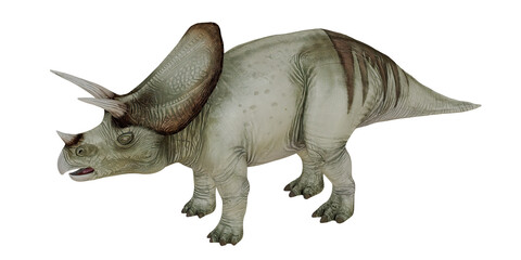 Realistic depiction of a triceratops dinosaur © Ilie
