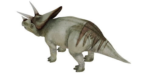Detailed triceratops dinosaur illustration © Ilie