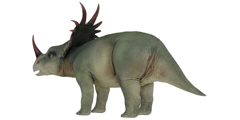 Majestic triceratops dinosaur model on display © Ilie