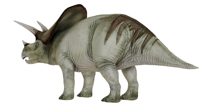 Side view of a Centrosaurus dinosaur illustration