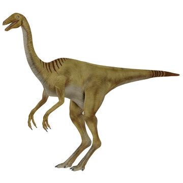 Illustration of a bipedal dinosaur in motion.