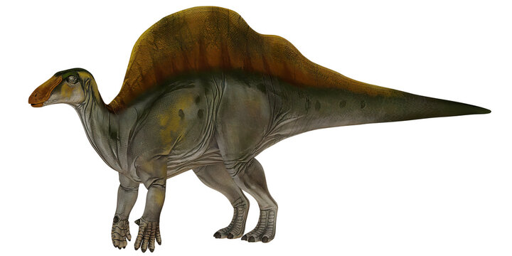 Colorful Iguanodon dinosaur illustration