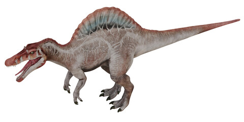 Fototapeta premium Realistic depiction of a Spinosaurus dinosaur