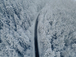Ośnieżony las, droga w lesie, Beskid Niski