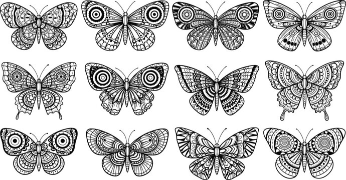 Hand drawn butterfly line art icons set with detailed wings, decorative patterns, and elegant insect outline designs