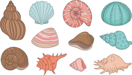 Cute Seashells Collection Cartoon Style with Conch, Scallop, Spiral Shells and Sea Snail Illustrations for Summer Designs