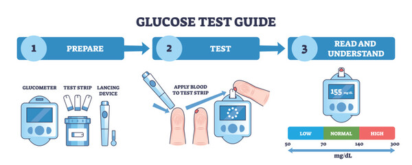 Glucose testing guide visualizes prepare-test-read steps using glucometer, test strip, and lancet to explain blood sugar monitoring and ranges. Outline diagram © VectorMine