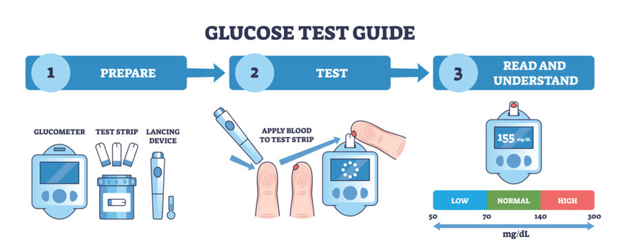 Glucose testing guide visualizes prepare-test-read steps using glucometer, test strip, and lancet to explain blood sugar monitoring and ranges. Outline diagram