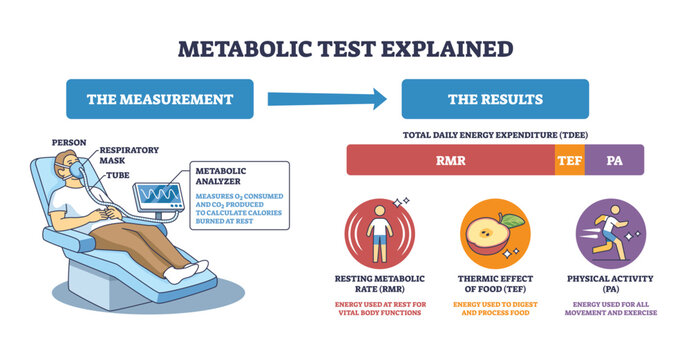 Metabolic test overview shows patient with respiratory mask, analyzer screen, and TDEE breakdown (RMR, TEF, PA) to explain energy expenditure flow. Outline diagram