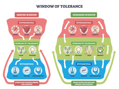 Window of tolerance brief outline shows hyperarousal, calm zone, and hypoarousal with arrows illustrating regulation between states. Outline diagram