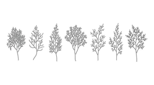 Vector illustration set of seven monochrome tree designs in horizontal lineup, showcasing diverse foliage patterns, branching structures, and artistic styles for botanical studies, landscape design, e