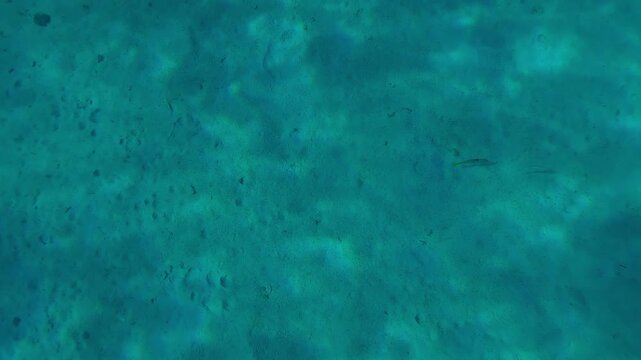 Top view, swimming above sandy bottom with sun glare on a sunny day. Natural underwater background of sandy seabed with bright glare of the midday sun. Glaring sun on the sand of sea floor