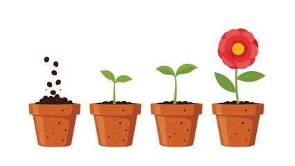 Obraz premium Sequence of images depicts the growth cycle of a flower starting from seeds in a terracotta pot to a fully blooming red blossom.