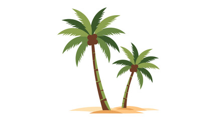 palm tree on white background