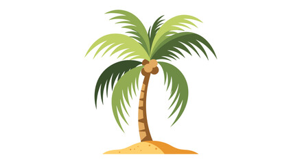 palm tree vector illustration