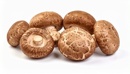 Shiitake-Pilze isoliert