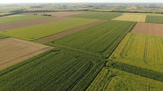 Aerial View of Agricultural Fields and Crops.