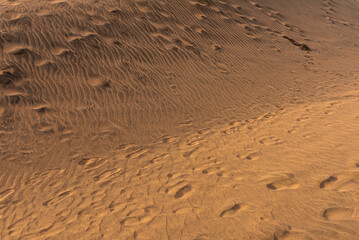 Fototapeta premium Desert Dunes Footprints Trail Across Soft Sand Under Warm Sunset Light
