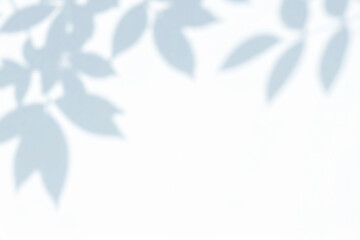 Minimal blurred wall with shadow of leaves overlay backgrounds. Sunlight effect shadow on the wall.