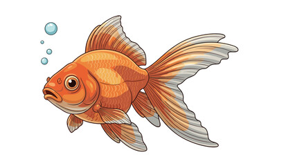 Fototapeta premium Beautiful orange goldfish with long flowing fins swimming peacefully while blowing bubbles on a white background.