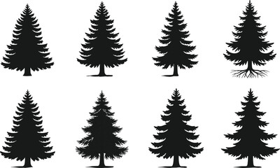 Obraz premium Evergreen tree silhouette set, pine and fir icons, forest elements, botanical design, flat vector illustration, nature graphic collection
