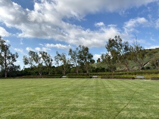 Fototapeta premium Community Park Scene: Green grass field with trees, benches, and a cloudy blue sky for recreation.