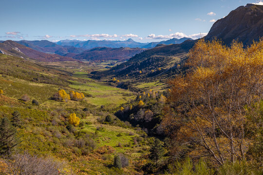 El bosque en oto&ntilde;o. Para contemplar una paleta de colores rica en matices, basta con detenerse a observar un bosque en oto&ntilde;o.