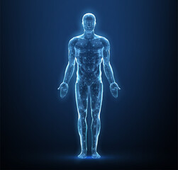 Human body. Abstract vector. Digital anatomy, Medical technology, Muscle structure, Health innovation, 3D model, DNA biotechnology, Body system, Science medicine, Healthy anatomy concept

