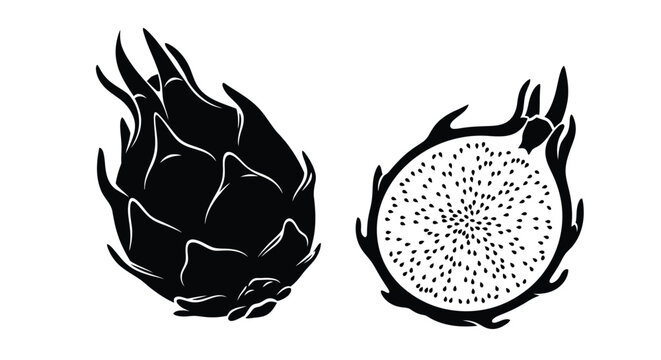 Black and white illustration of a whole and sliced dragon fruit