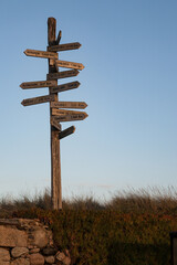 wooden signpost in the middle of the coast
